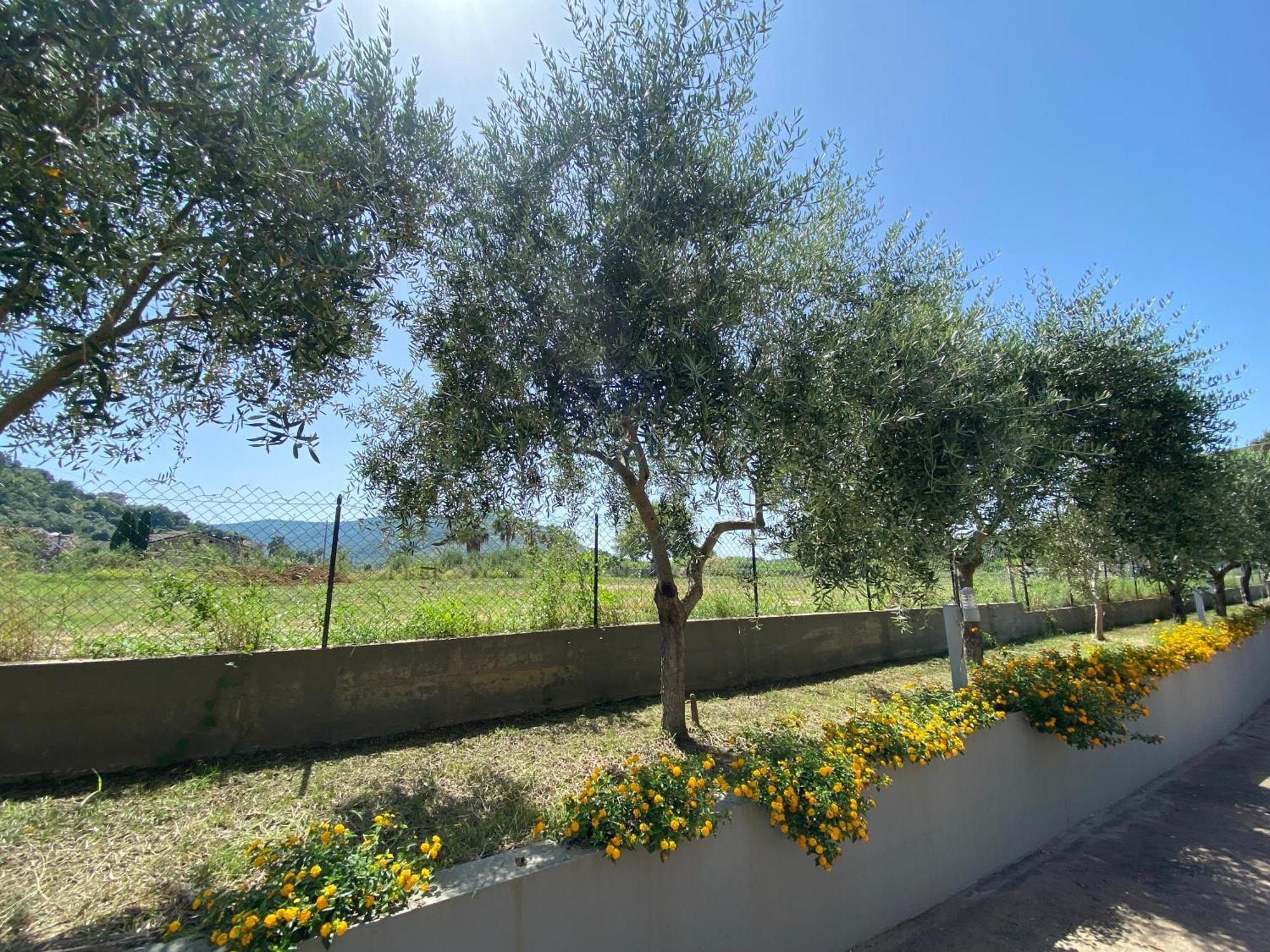 Miro' Agropoli Bed & Breakfast Exterior foto