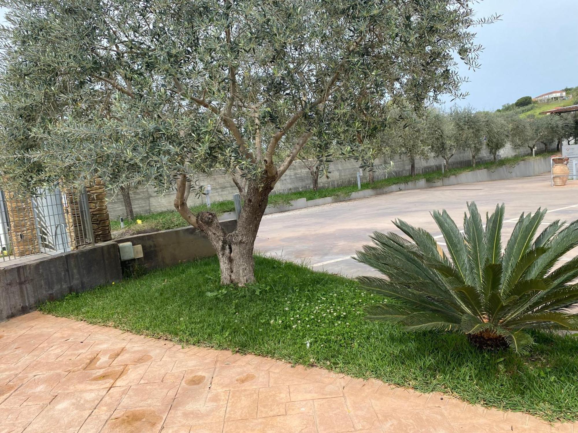 Miro' Agropoli Bed & Breakfast Exterior foto