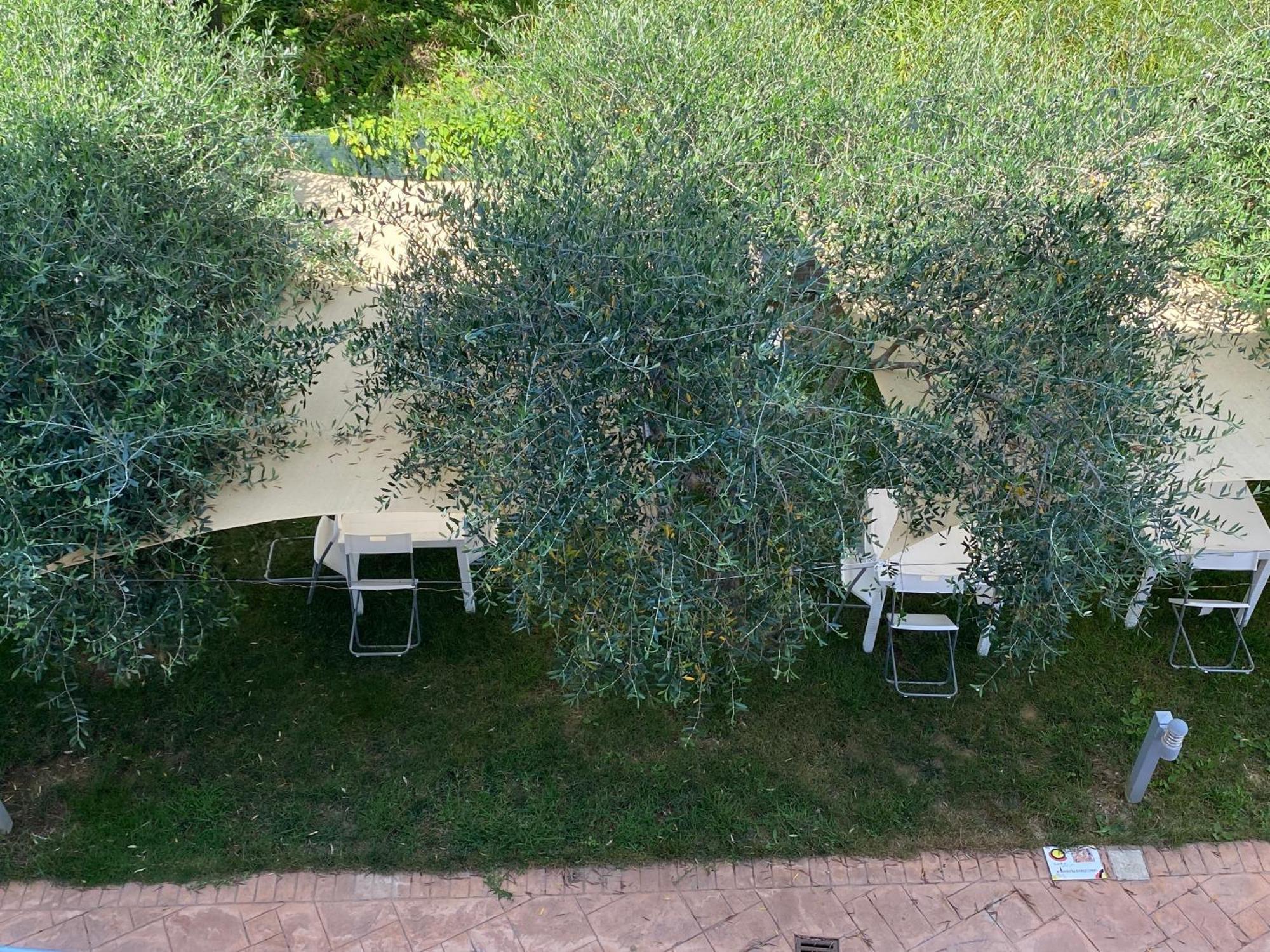 Miro' Agropoli Bed & Breakfast Exterior foto