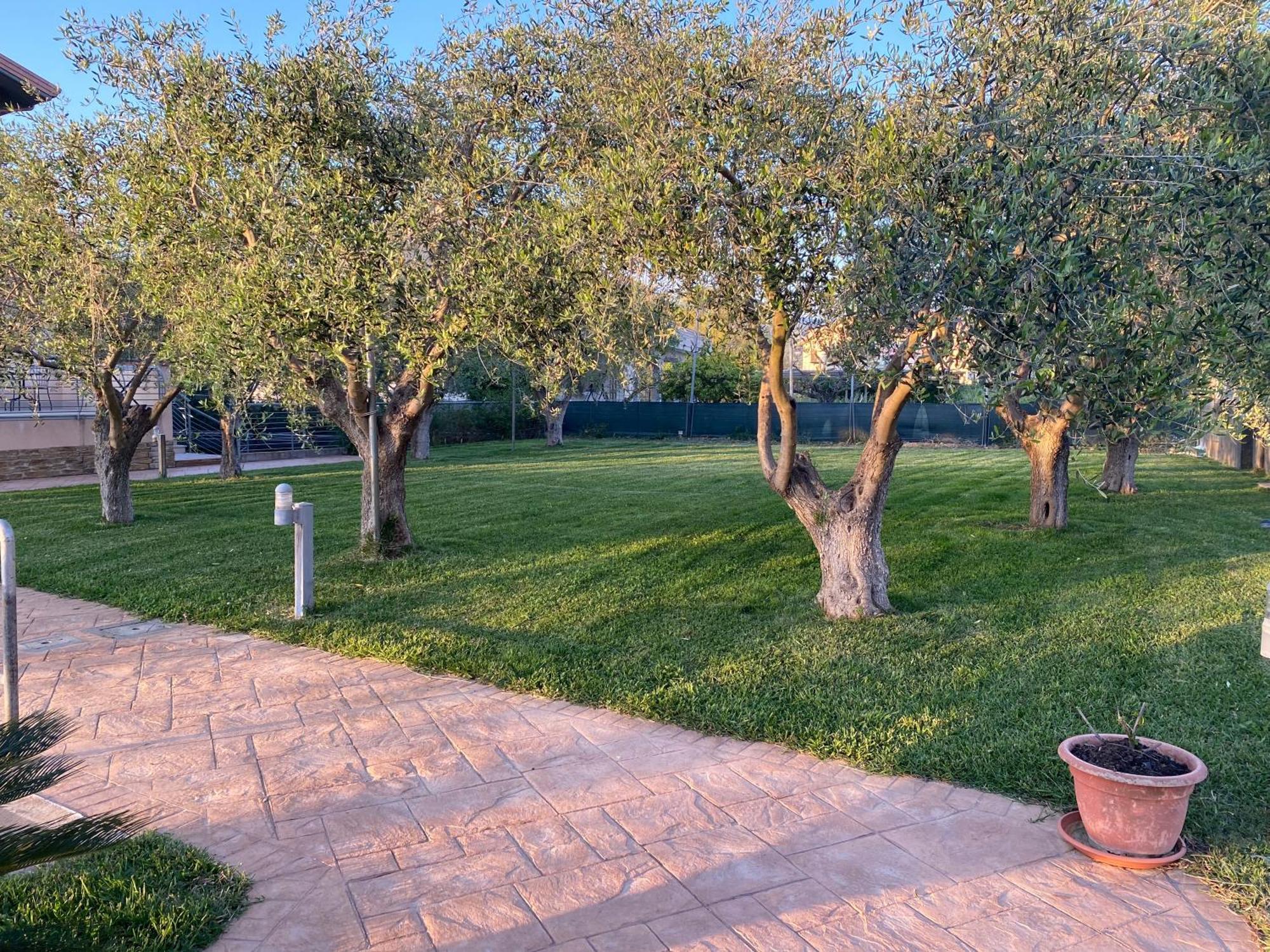 Miro' Agropoli Bed & Breakfast Exterior foto